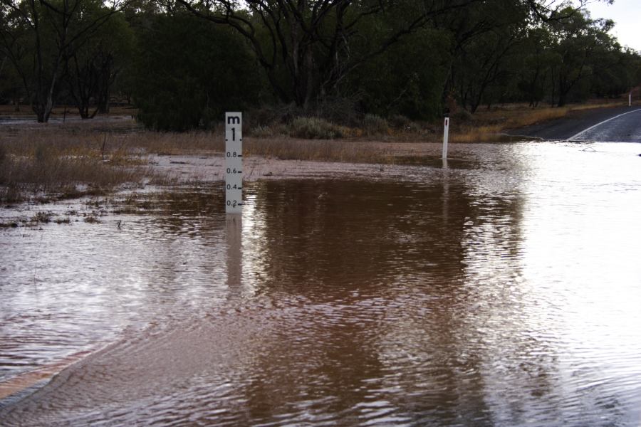flashflooding flood_pictures : ~40km E of Cobar, NSW   1 January 2007