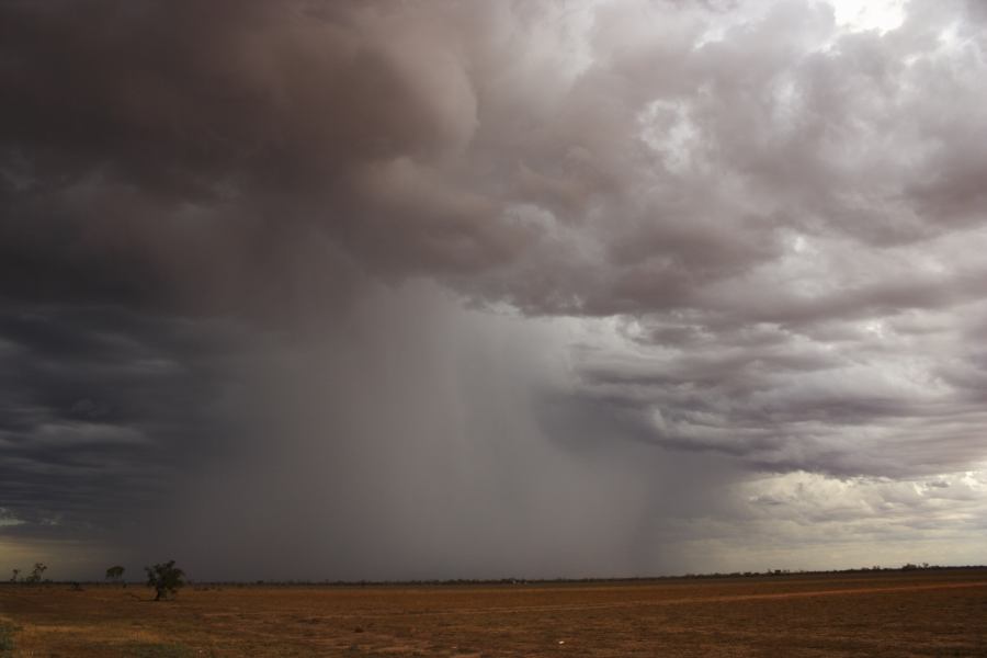 raincascade precipitation_cascade : ~40km N of Barringun, NSW   2 January 2007