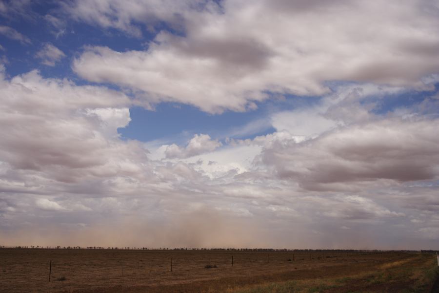 cumulus humilis : ~30km N of Barringun, NSW   2 January 2007