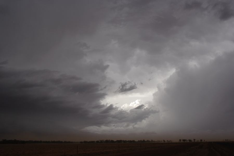 cumulonimbus thunderstorm_base : 10km N of Barringun, NSW   2 January 2007