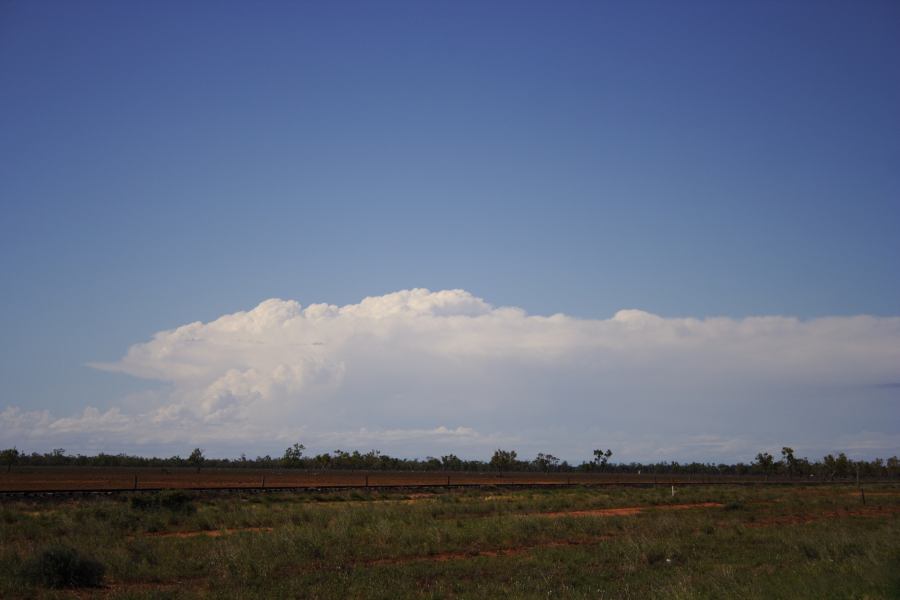 thunderstorm cumulonimbus_incus : 60km N of Cunumulla, Qld   3 January 2007