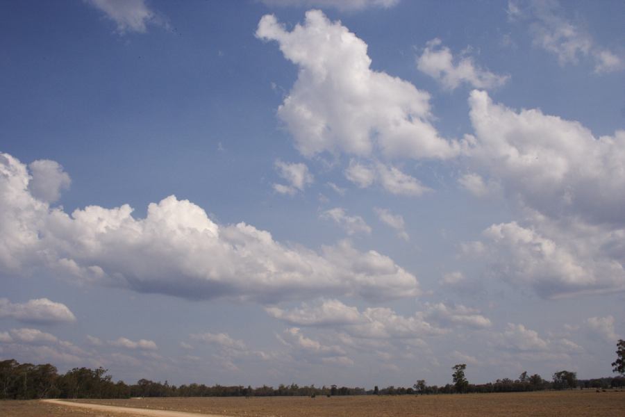 cumulus humilis : 40km W of Millmerran, NSW   14 January 2007
