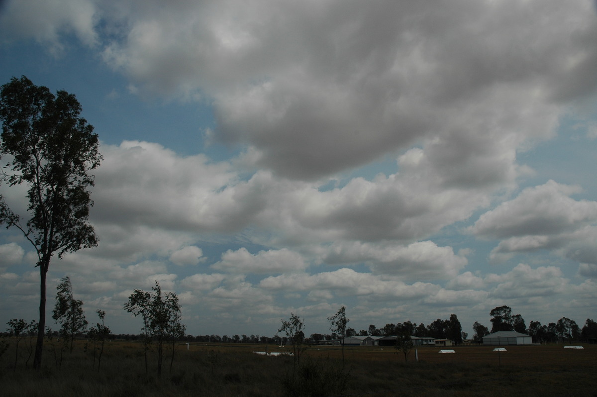 cumulus humilis : Milmerran, QLD   14 January 2007