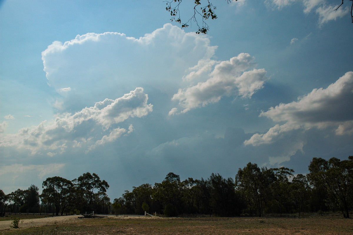 thunderstorm cumulonimbus_incus : SW of Milmerran, QLD   14 January 2007