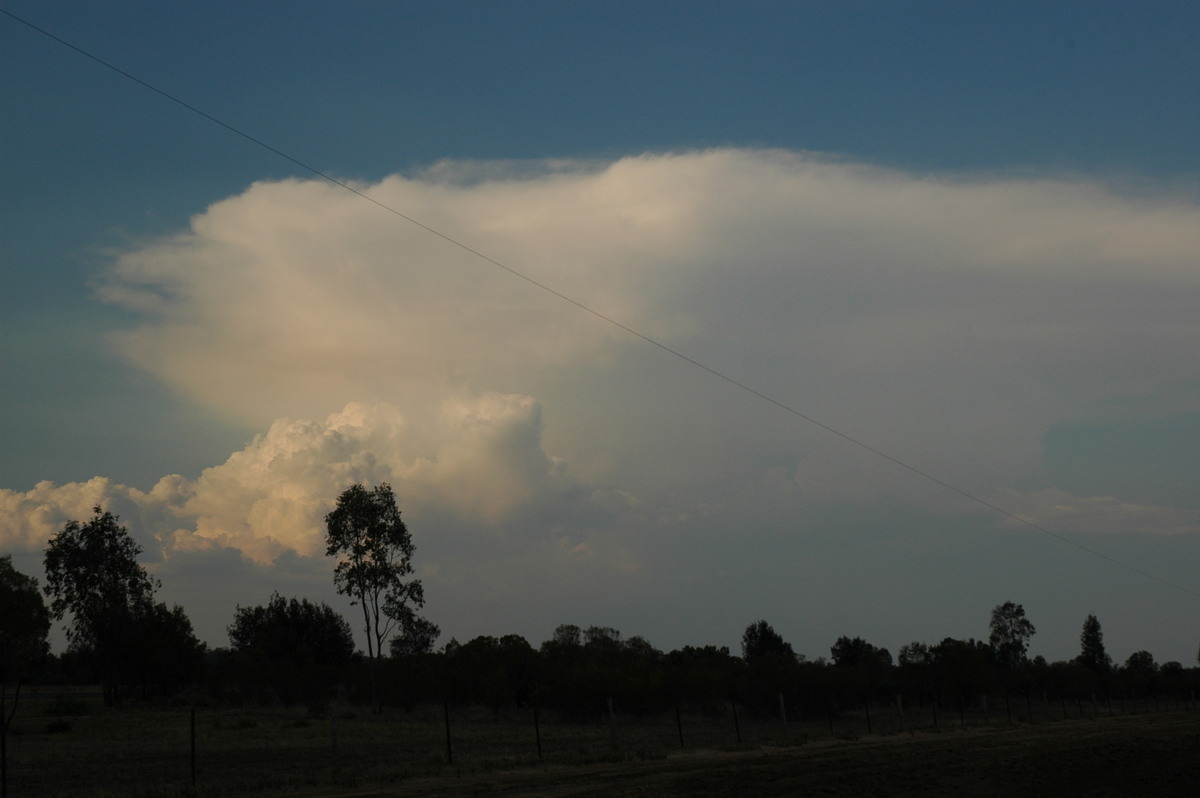 thunderstorm cumulonimbus_incus : N of Goodiwindi, QLD   14 January 2007
