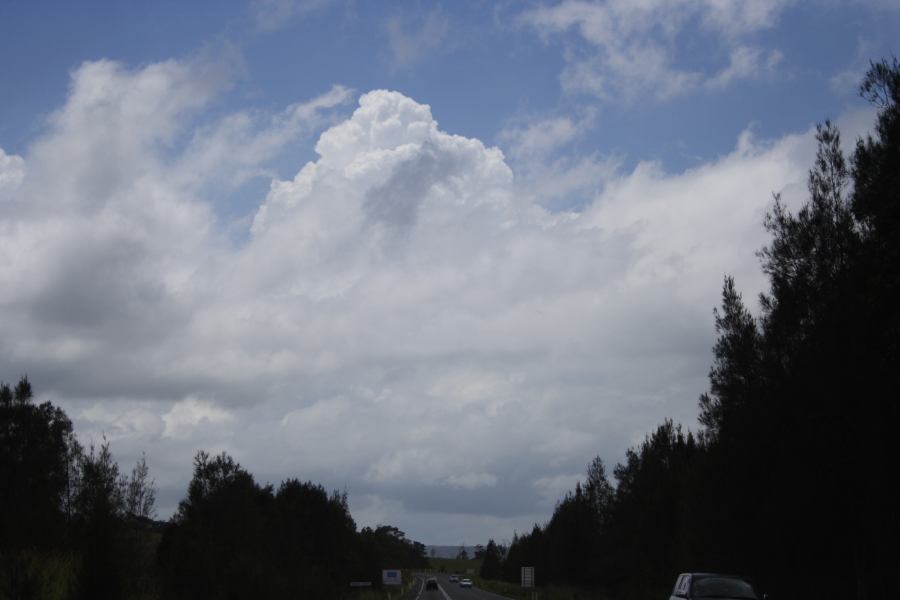 thunderstorm cumulonimbus_calvus : S of Bulahdelah, NSW   26 January 2007