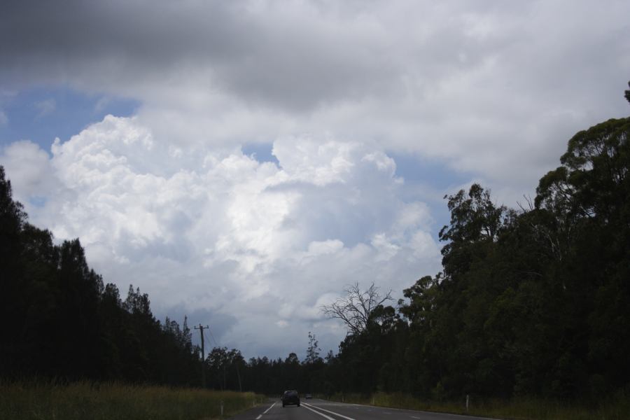 thunderstorm cumulonimbus_calvus : S of Bulahdelah, NSW   26 January 2007