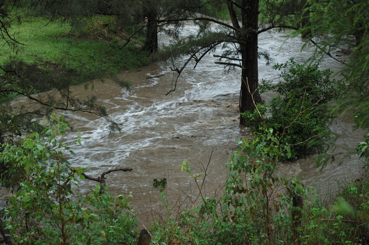 flashflooding flood_pictures : Jackadgery, NSW   26 January 2007