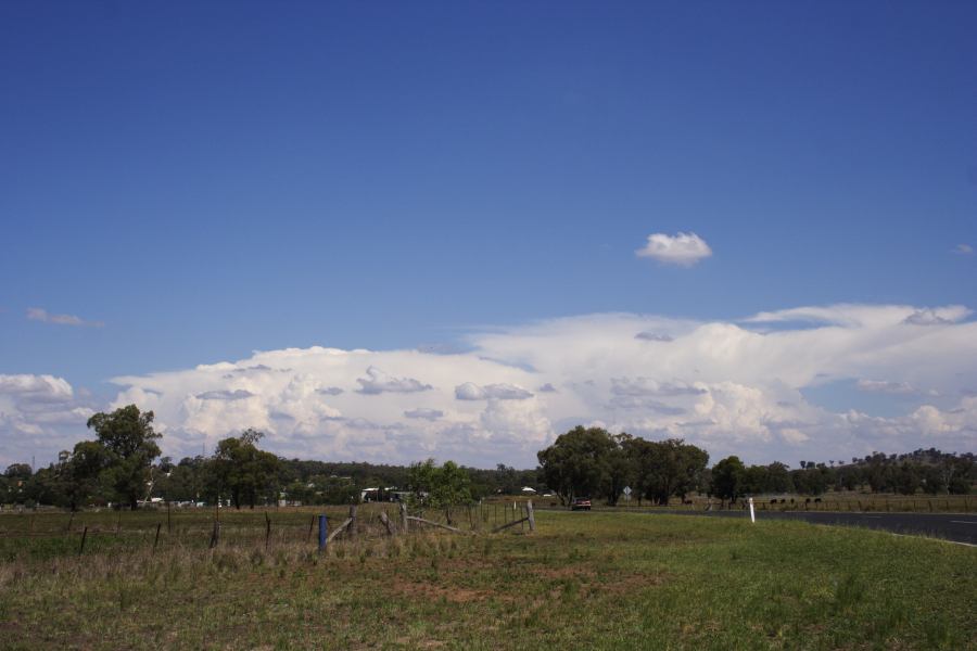 cumulus humilis : Dunedoo, NSW   11 February 2007