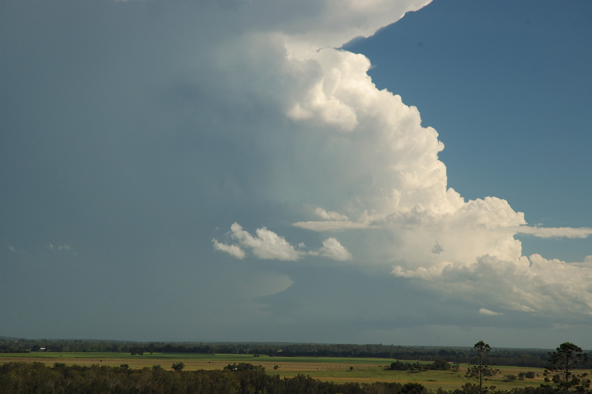 inflowband thunderstorm_inflow_band : Parrots Nest, NSW   2 March 2007