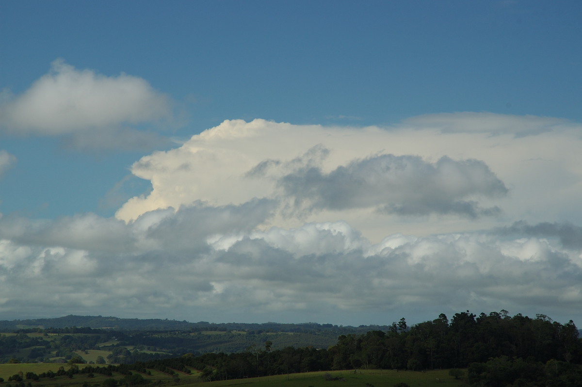 thunderstorm cumulonimbus_incus : McLeans Ridges, NSW   5 March 2007