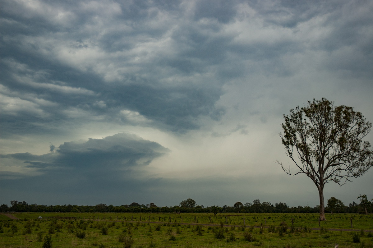 cumulonimbus thunderstorm_base : near Coraki, NSW   31 October 2007