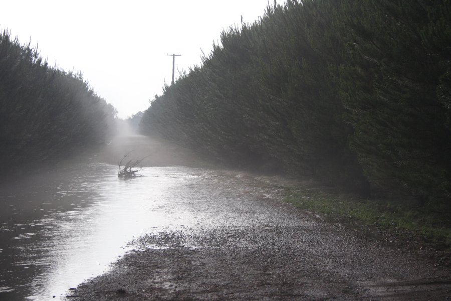 flashflooding flood_pictures : near Marulan, NSW   18 November 2007