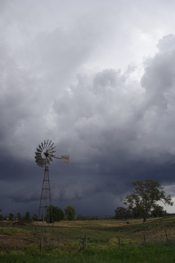cumulonimbus thunderstorm_base : Tamworth, NSW   22 November 2007