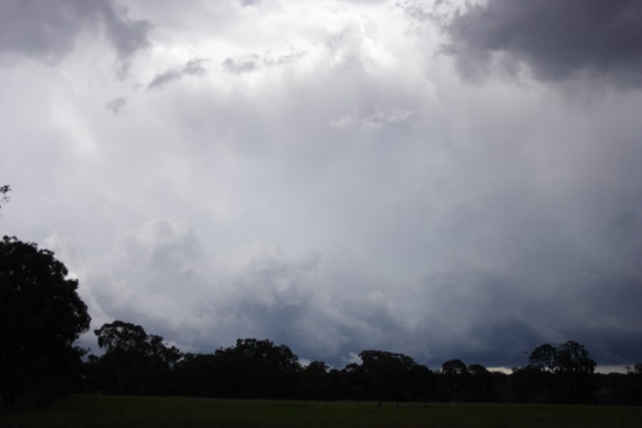 cumulonimbus thunderstorm_base : Inverell, NSW   23 November 2007