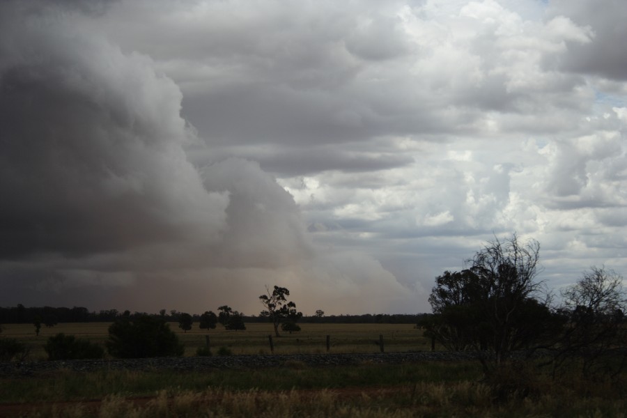 shelfcloud shelf_cloud : SW of Narromine, NSW   3 December 2007