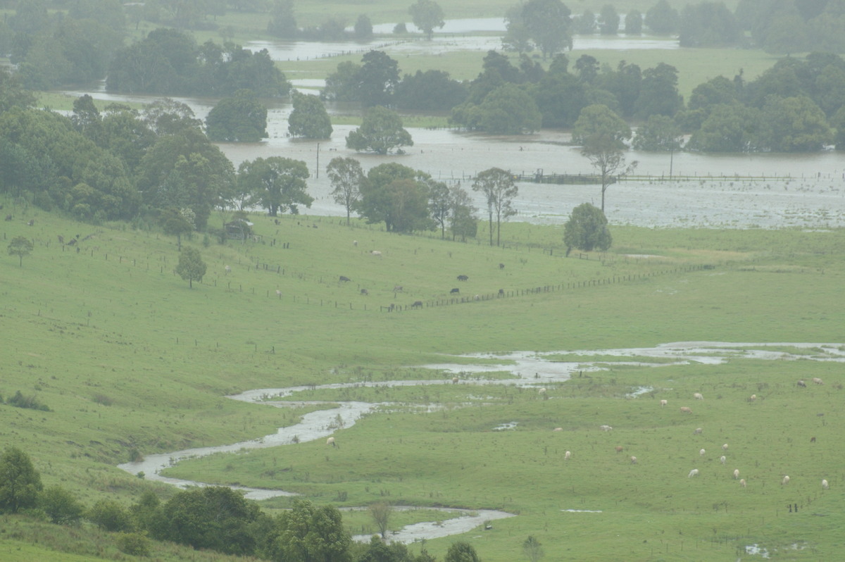 flashflooding flood_pictures : McLeans Ridges, NSW   4 January 2008