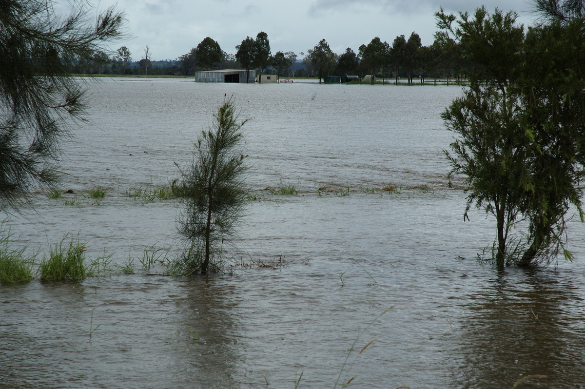 flashflooding flood_pictures : N of Casino, NSW   5 January 2008