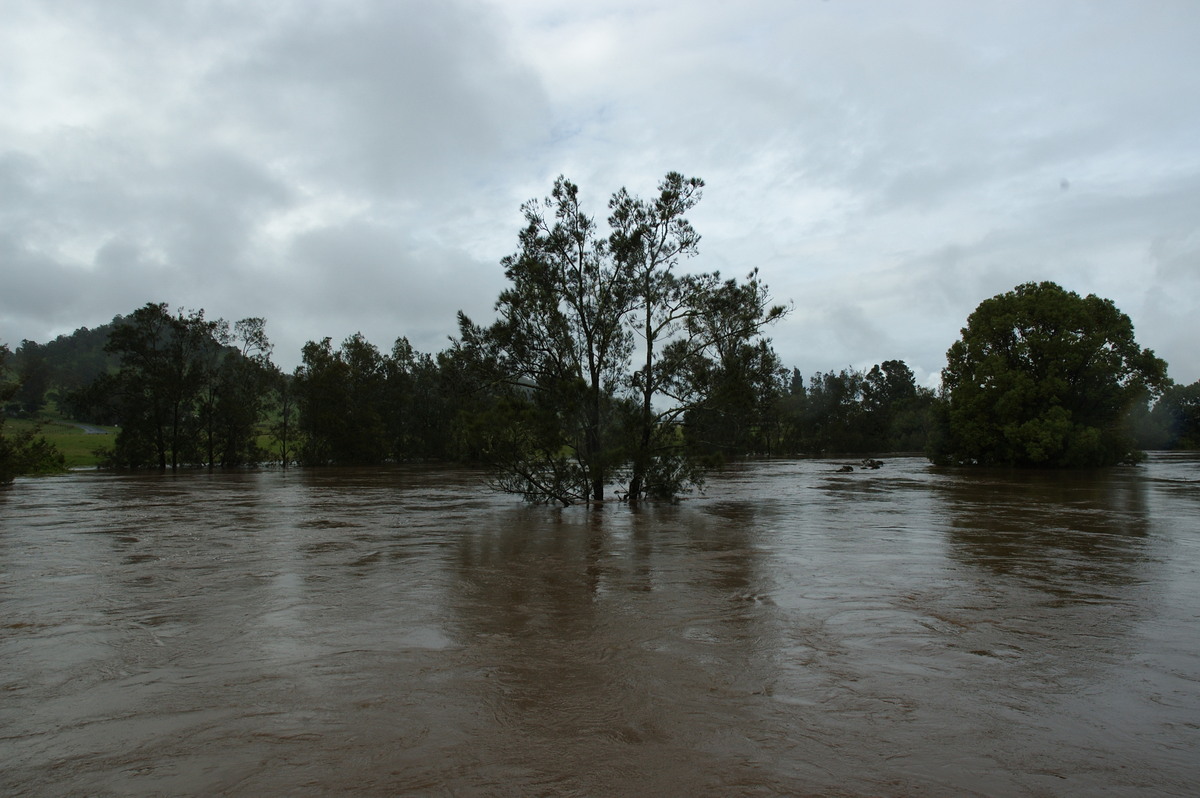 flashflooding flood_pictures : Leycester, NSW   5 January 2008
