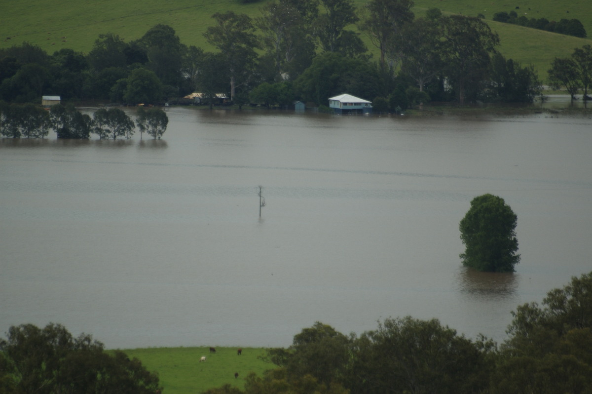 flashflooding flood_pictures : Kyogle, NSW   5 January 2008