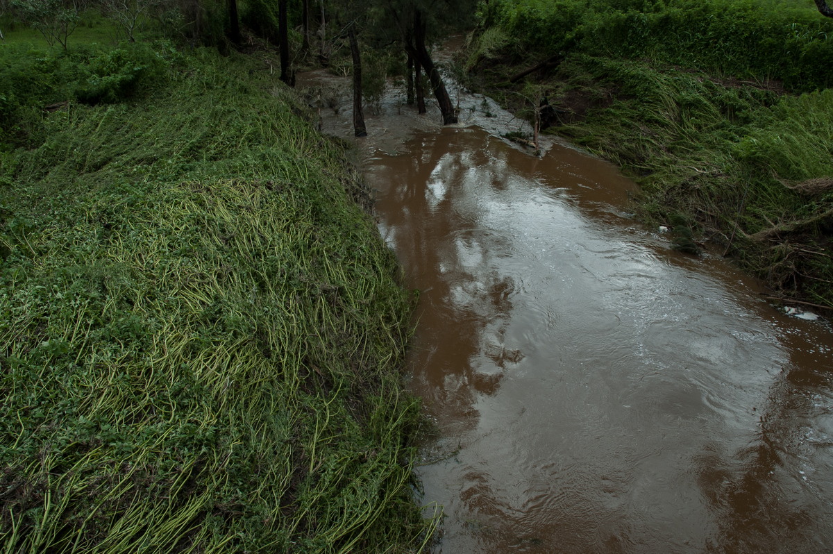 flashflooding flood_pictures : near Kyogle, NSW   5 January 2008