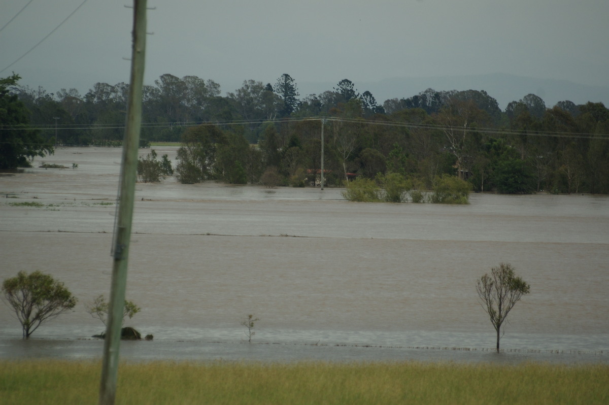 flashflooding flood_pictures : Clovass, NSW   6 January 2008
