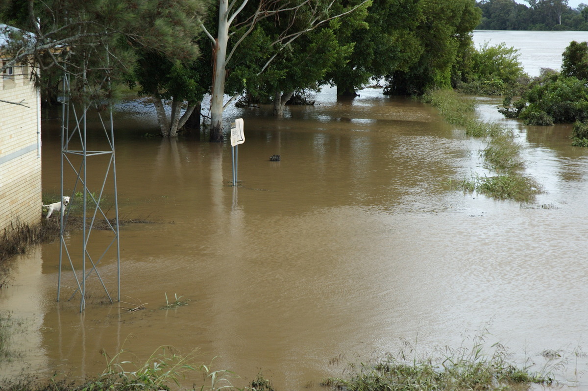 flashflooding flood_pictures : Coraki, NSW   8 January 2008