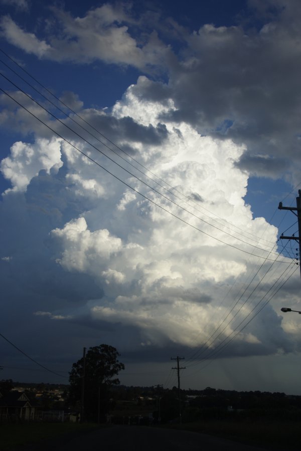 updraft thunderstorm_updrafts : Schofields, NSW   29 March 2008