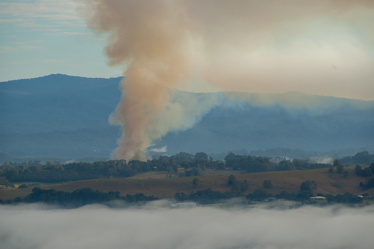 bushfire wild_fire : McLeans Ridges, NSW   4 August 2008