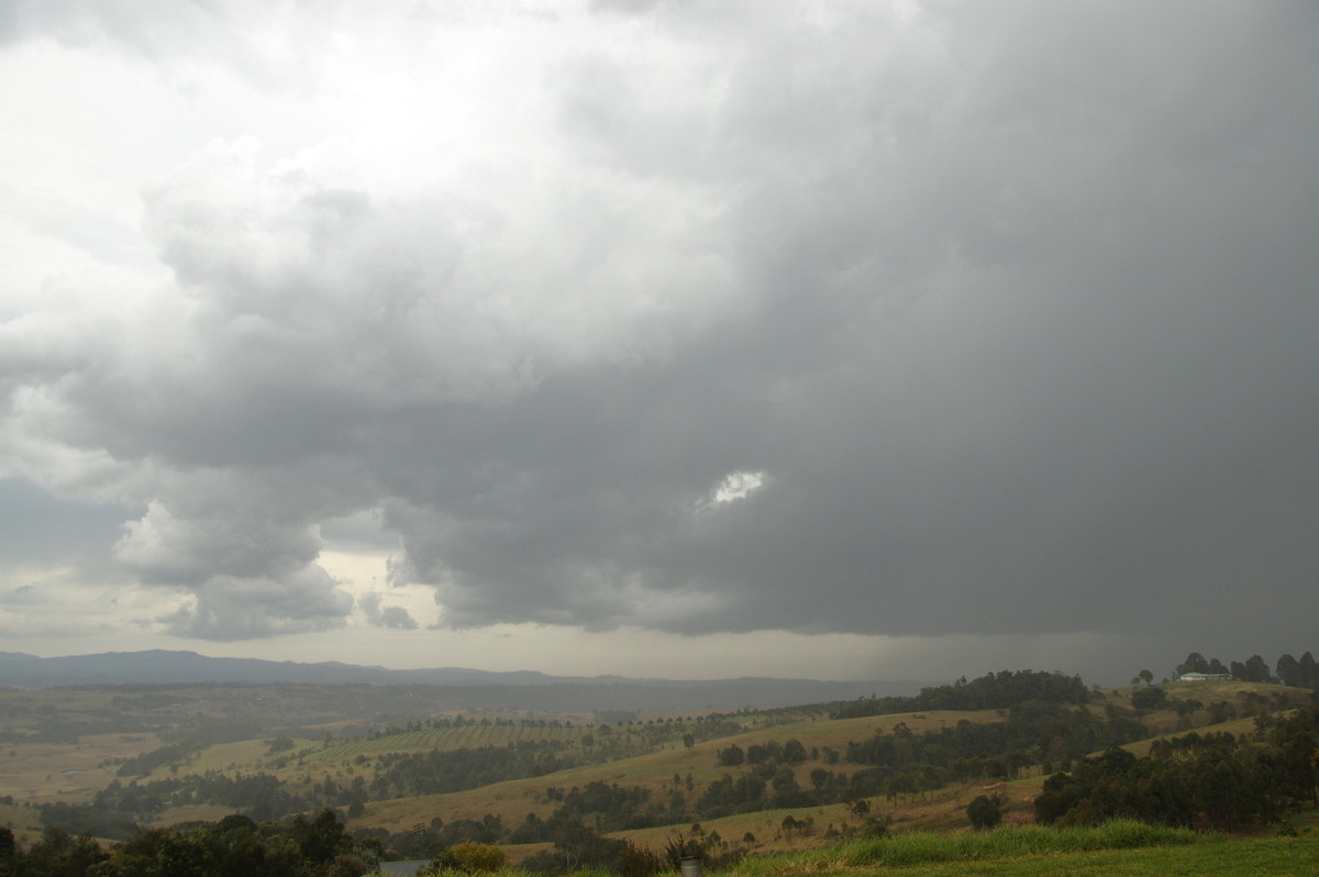 raincascade precipitation_cascade : McLeans Ridges, NSW   27 August 2008