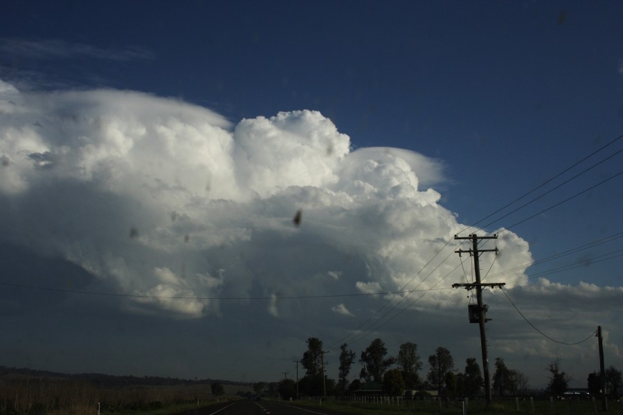 updraft thunderstorm_updrafts : near Aberdeen, NSW   5 October 2008