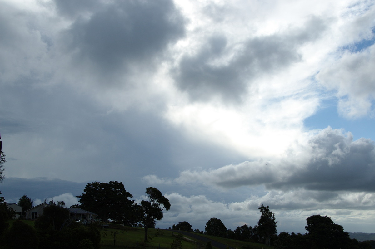 cumulus mediocris : McLeans Ridges, NSW   15 October 2008