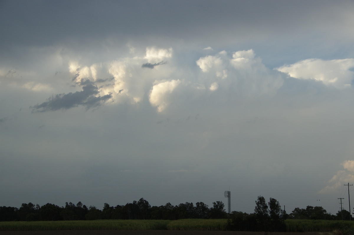 thunderstorm cumulonimbus_calvus : Harwood, NSW   21 October 2008