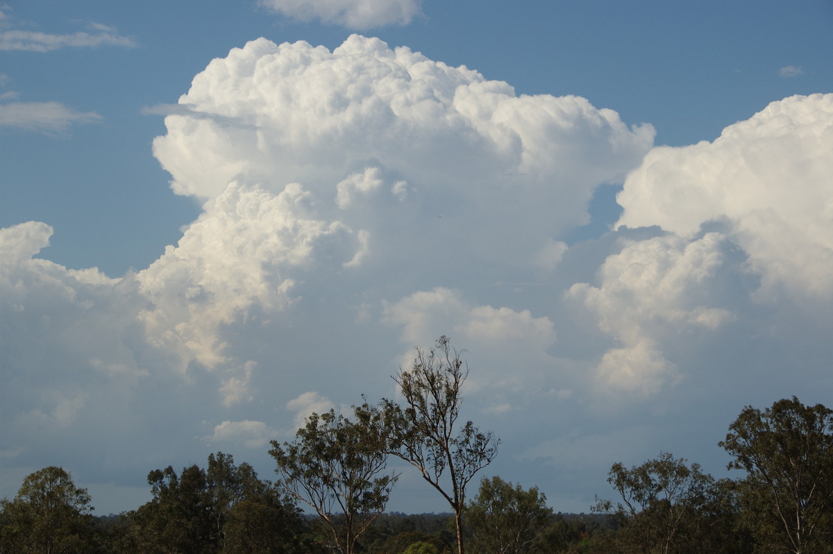 thunderstorm cumulonimbus_incus : Munruben, QLD   25 October 2008