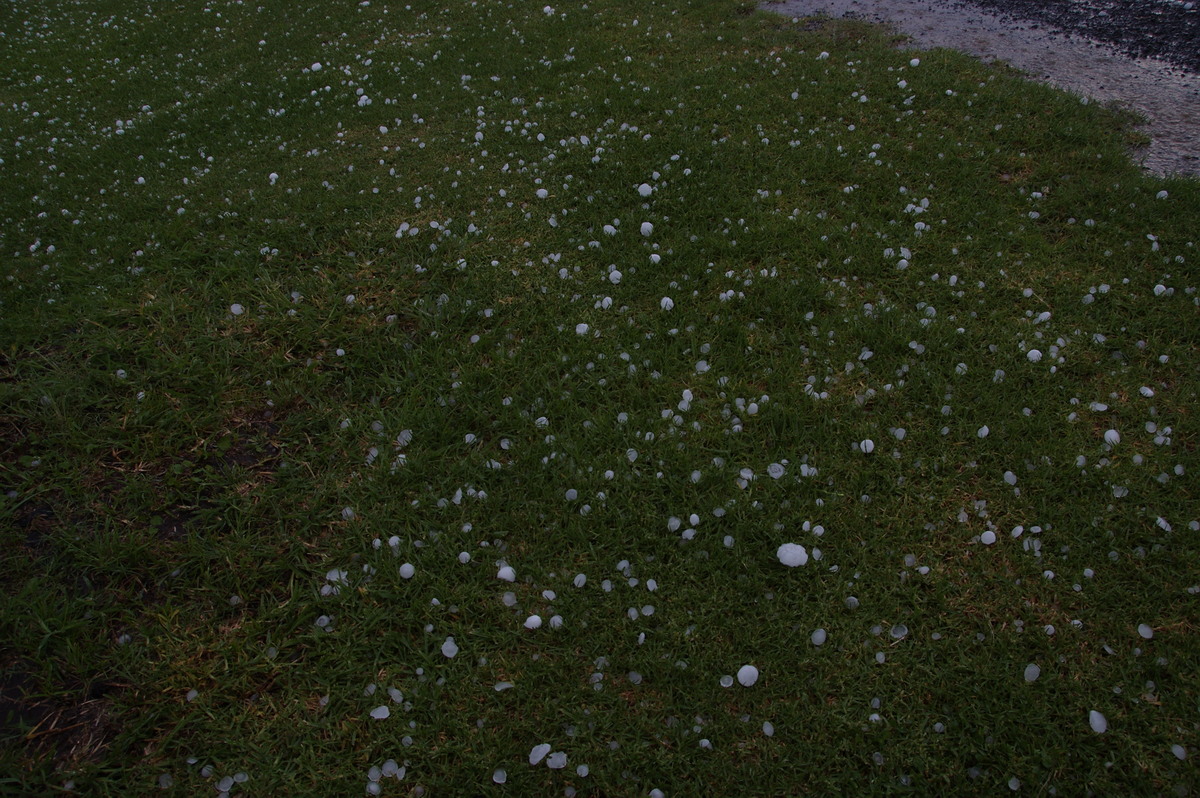 hailstones hail_stones : Clovass, NSW   10 December 2008