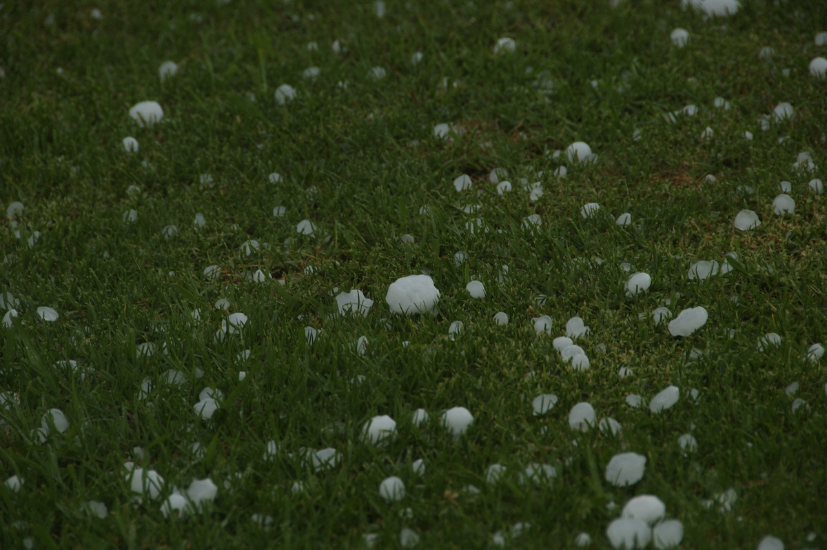 hailstones hail_stones : Clovass, NSW   10 December 2008