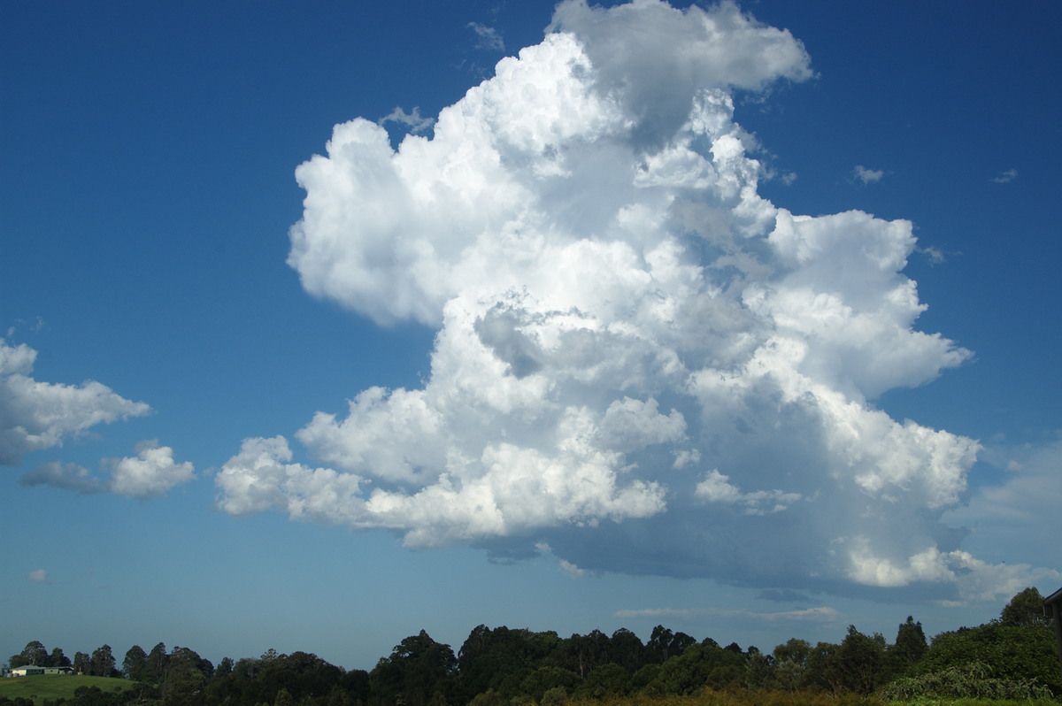 updraft thunderstorm_updrafts : McLeans Ridges, NSW   19 December 2008