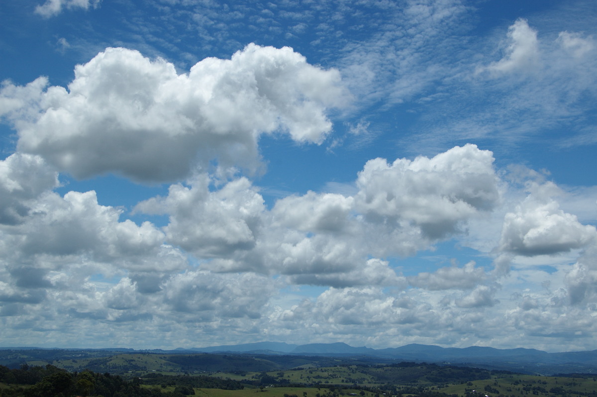 cumulus mediocris : McLeans Ridges, NSW   23 January 2009