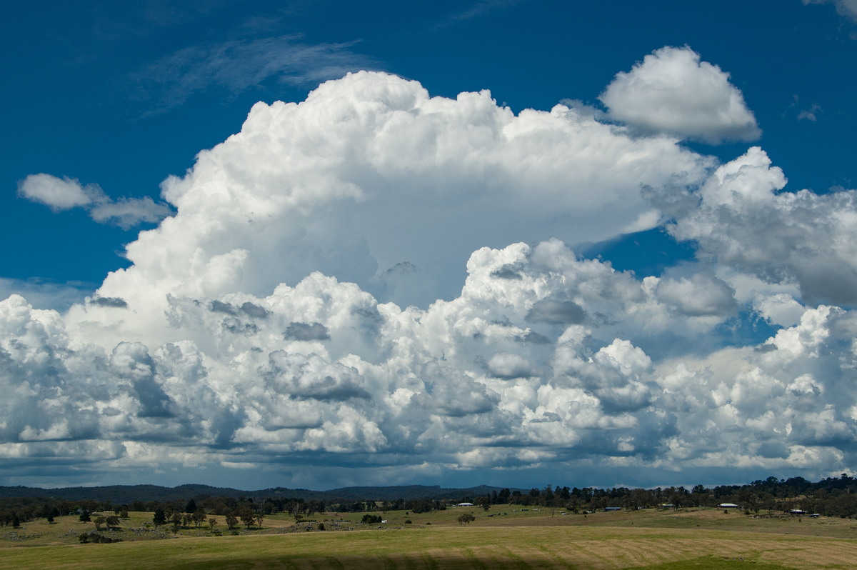 thunderstorm cumulonimbus_incus : Tenterfield, NSW   24 January 2009