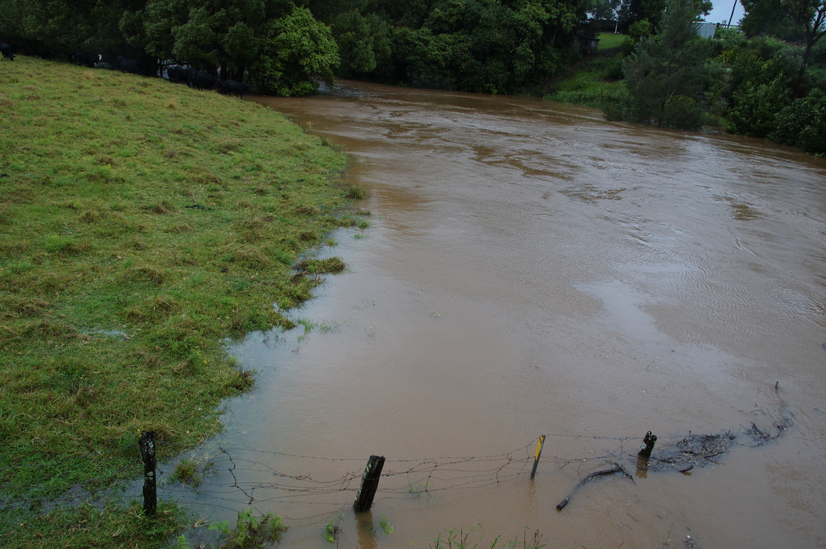 flashflooding flood_pictures : Eltham, NSW   21 May 2009