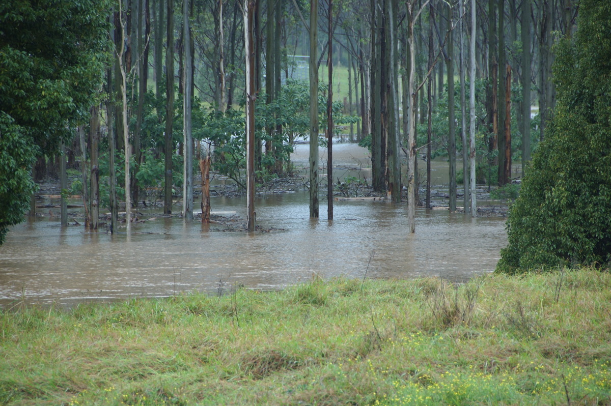 flashflooding flood_pictures : Booyong, NSW   21 May 2009