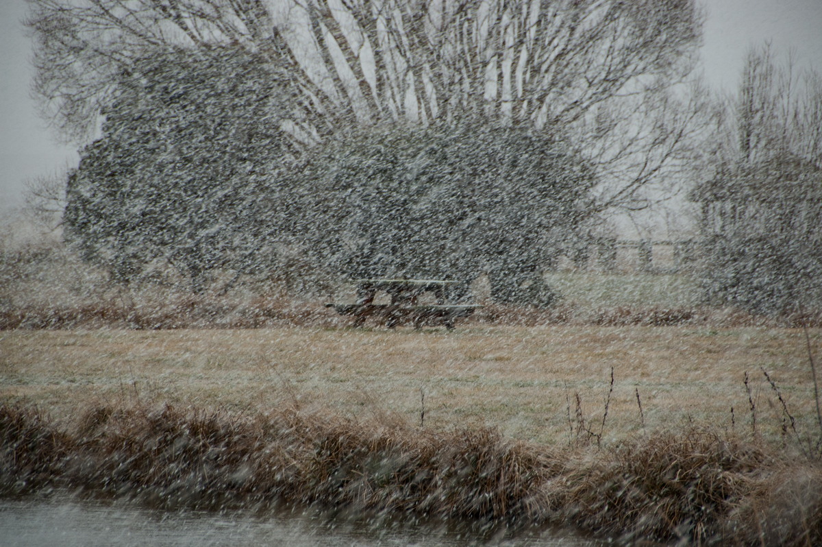 snow snow_pictures : Guyra, NSW   15 July 2009