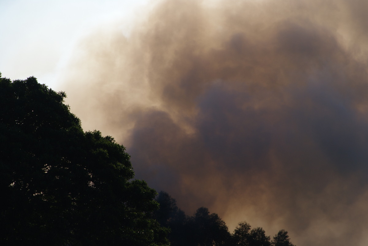 bushfire wild_fire : McLeans Ridges, NSW   14 August 2009
