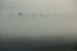 fog_mist_frost